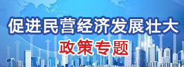 促進(jìn)民營經(jīng)濟(jì)發(fā)展壯大